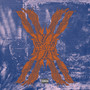 Chirodectes Maculatus (Explicit)