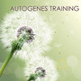 Autogenes Training Musik