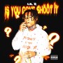 Is you gone shoot it (Explicit)