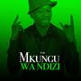 Mkungu wa Ndizi (feat. Q Chief)