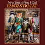 Now That's What I Call Fantastic Cat (Explicit)