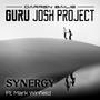 Synergy (feat. Mark Winfield) [Radio Edit]
