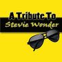 Hits Of Stevie Wonder - (A Tribute)