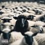 Black Sheep (Explicit)