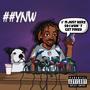 ##YNW (Explicit)