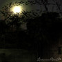 La nuit du vamp (Explicit)