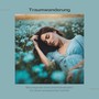 Traumwanderung: Beruhigende Instrumentalmelodien für einen entspannten Schlaf, Stressabbau und inneren Frieden