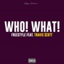 Who What Freestyle (Explicit)