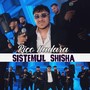 Sistemul Shisha (Live)