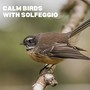 Calm Bird Sounds with Solfeggio