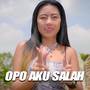 DJ OPO AKU SALAH