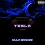 TESLA (Explicit)