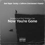 Now You're Gone (feat. SmokeCloud)