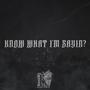 Know What I'm Sayin? (feat. Poets One, Xplicit Lyricz, Epic_Mc, Abysser One & DJ Rellik) [Explicit]