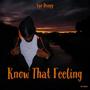 Know That Feeling (Explicit)