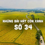 Những Bài Hát Còn Xanh Số 34