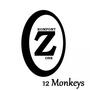 12 Monkeys