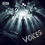 VOICES