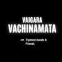 Vaigara Vachinamata (feat. Trymore Bande)