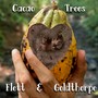 Cacao Trees