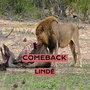 Comeback (Explicit)