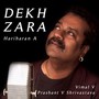 Dekh Zara (feat. Chintoo Singh Wasir, Martin & Rex David)