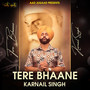 Tere Bhaane