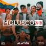 MOLUSCO 24-31