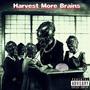 Harvest More Brains (Explicit)