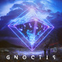 Gnoctis