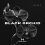 Black Orchid