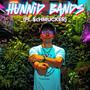 Hunnid Bands (Explicit)