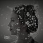 Rosa, mraz