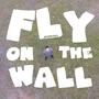 Fly on the Wall (Explicit)