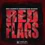 Red Flags (feat. Hoodstar Sleeze) [Explicit]