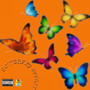 Butterfly Effect (Explicit)