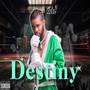 Destiny (Explicit)