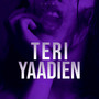 Teri Yaadein