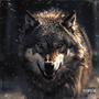 Wolf (Explicit)