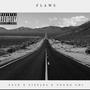 Flaws (Explicit)