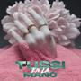 TUSSI EN LA MANO GUARACHA (feat. KARMO)