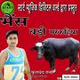 Bhains Badi Markhaiya