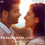 Paalmanam (From 