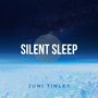 Silent Sleep