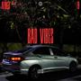 Bad Vibes (feat. Little Bhatia & SRQ)