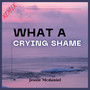 What A Crying Shame (DJ Nora Remix)