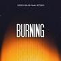 Burning (feat. SteM)