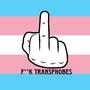 To Transphobes and Trans Kids (Explicit)