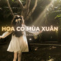 Hoa Cỏ Mùa Xuân (Lofi)