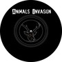 Animals invasion